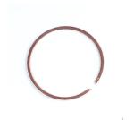 Segments Wossner Ø96,00mm