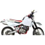 Silencieux Arrow PARIS DAKAR INOX Racing