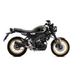 Silencieux Arrow REBEL NICHROM DARK EMBOUT INOX NOIR