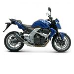 Silencieux Termignoni CONIQUE-OVALE