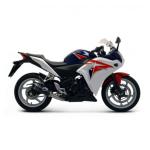 Silencieux Termignoni RACING EMBOUT CARBONE