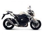 Silencieux Termignoni STR