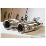 Silencieux Zard Double snake coniques inox - embout inox noir