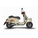 Silencieux Zard TOP GUN - embout carbone titane