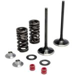 Soupape d'échappement Moose Racing Kit complet