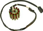 Stator d'allumage Onedesign 21121648