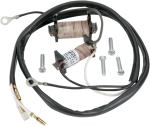 Stator d'allumage Rick's Motosport Electric 21110106