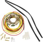 Stator d'allumage Rick's Motosport Electric 21120955
