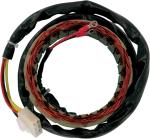 Stator d'allumage Rick's Motosport Electric CHS1NWL