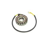 Stator d'allumage Rick's Motosport Electric D&eacute;marreur Remplacement OE