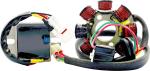 Stator d'allumage Rick's Motosport Electric Kit charge Hot Shot