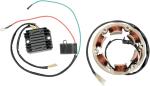 Stator d'allumage Rick's Motosport Electric Syst&egrave;me charge