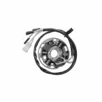 Stator d'allumage SGR 6 p&ocirc;les
