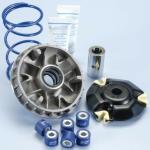 Variateur Polini 1012462
