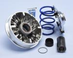 Variateur Polini Hi-Speed 12 galets