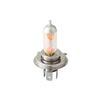Ampoule Bike It H4 12 V 60 55 P43