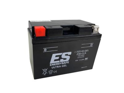 Batterie EnergySafe ESTZ14S GEL 12V 11,2Ah