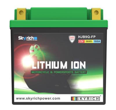 Batterie Skyrich HJB9Q - FP