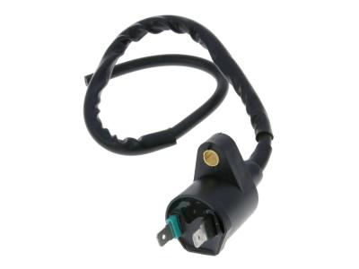 Bobine allumage 101 Octane 21020410