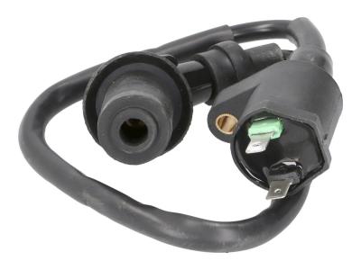Bobine allumage 101 Octane 21020414