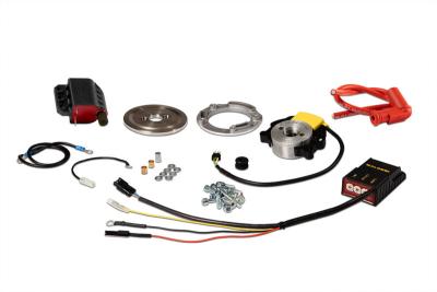 Bobine allumage Malossi MHR Team II rotor interne