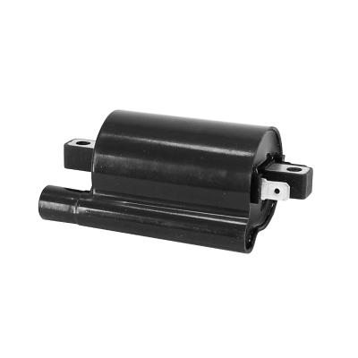 Bobine allumage P2R MAXISCOOTER 250 X9 2000 2003