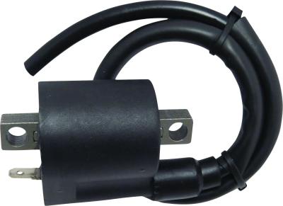 Bobine allumage Parts Europe 21020442