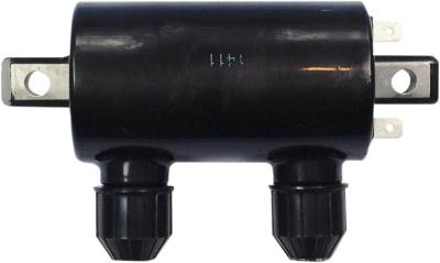 Bobine allumage Rick's Motosport Electric 21020331