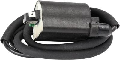 Bobine allumage Rick's Motosport Electric 21020379