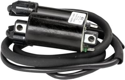 Bobine allumage Rick's Motosport Electric 21020380