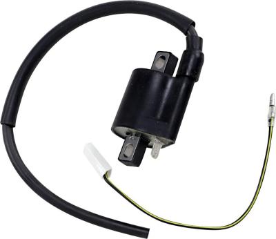 Bobine allumage Rick's Motosport Electric 21020402