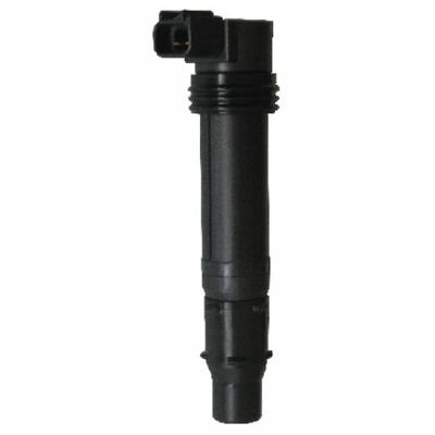 Bobine allumage SGR 161002