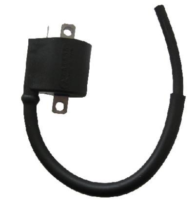 Bobine allumage SGR 161205