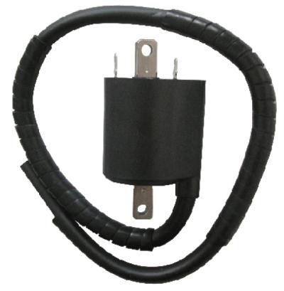 Bobine allumage SGR 161403