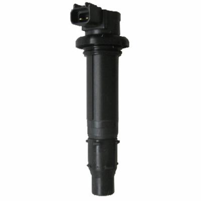 Bobine allumage SGR 161406
