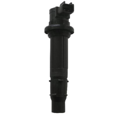 Bobine allumage SGR 161408