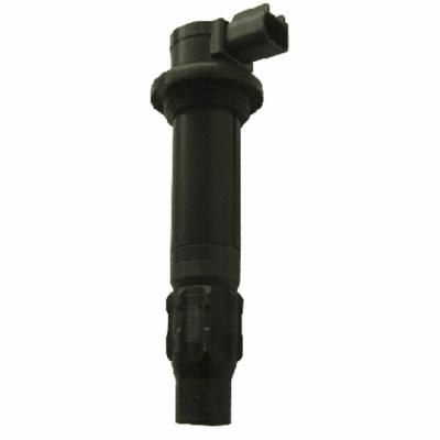 Bobine allumage SGR 161411