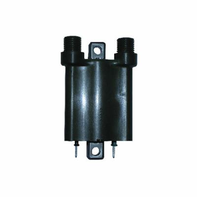 Bobine allumage SGR 175711