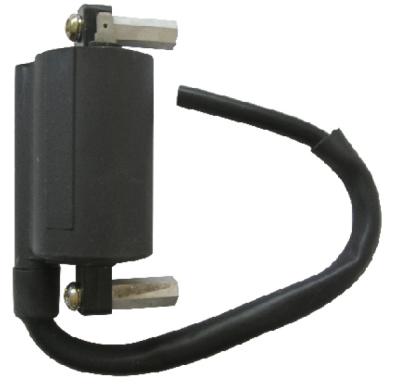 Bobine allumage SGR Adapt