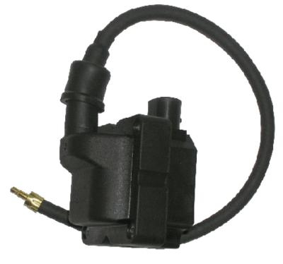 Bobine allumage SGR T