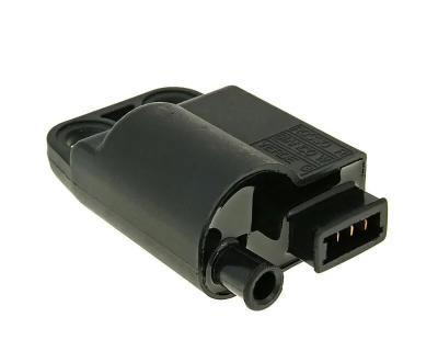 Boitier CDI 101 Octane 21010438