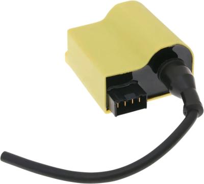 Boitier CDI 101 Octane 21010456