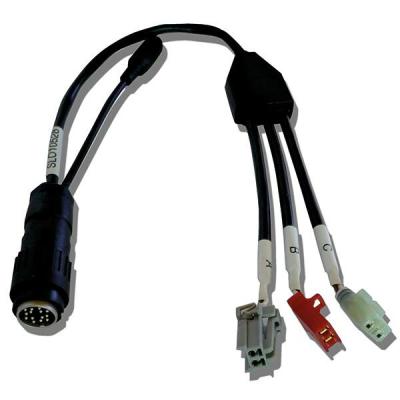 Cable de connexion diagnostique Byterd HONDA HISS 2 PIN