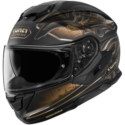 Casque GT-AIR 3 NILE TC-9 SHOEI