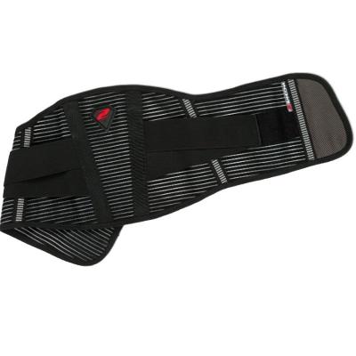 Ceinture Lombaire Zandona COMFORT PRO 2025