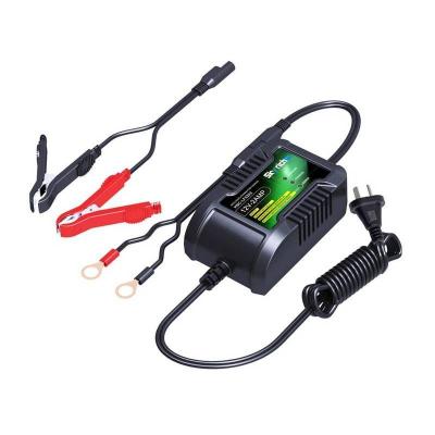 Chargeur de batterie Skyrich batterie LITHIUM ion
