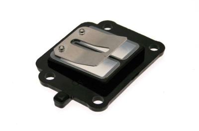 Clapets carbone B1 FIBRE BOOSTER