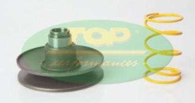 Correcteur de couple Top Performances Moteur