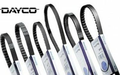 Courroie de transmission Dayco standard
