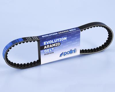 Courroie de transmission Polini Evolution Aramid